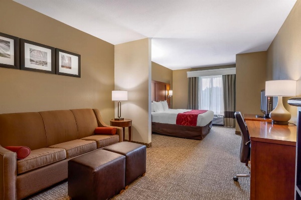 Comfort Suites North image 1
