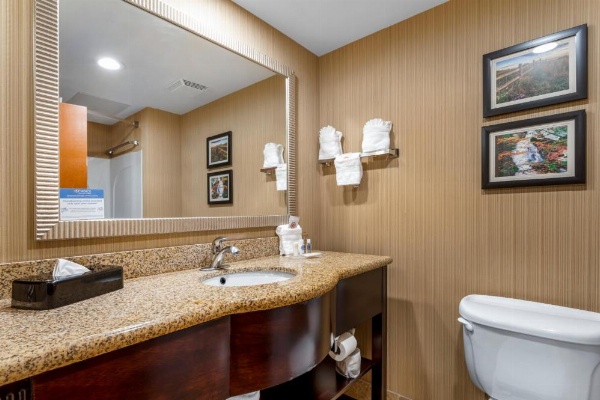 Comfort Suites North image 17