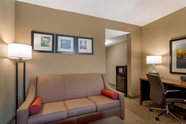 Comfort Suites North image 22