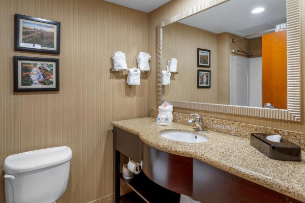 Comfort Suites North image 26
